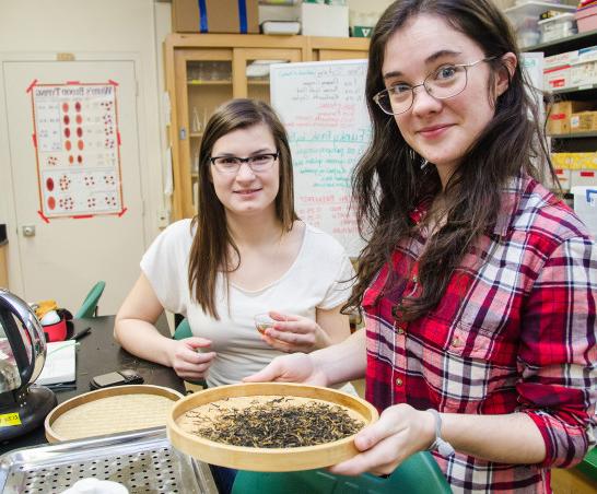 Students learn the science of tea during an on-campus J-Term course.